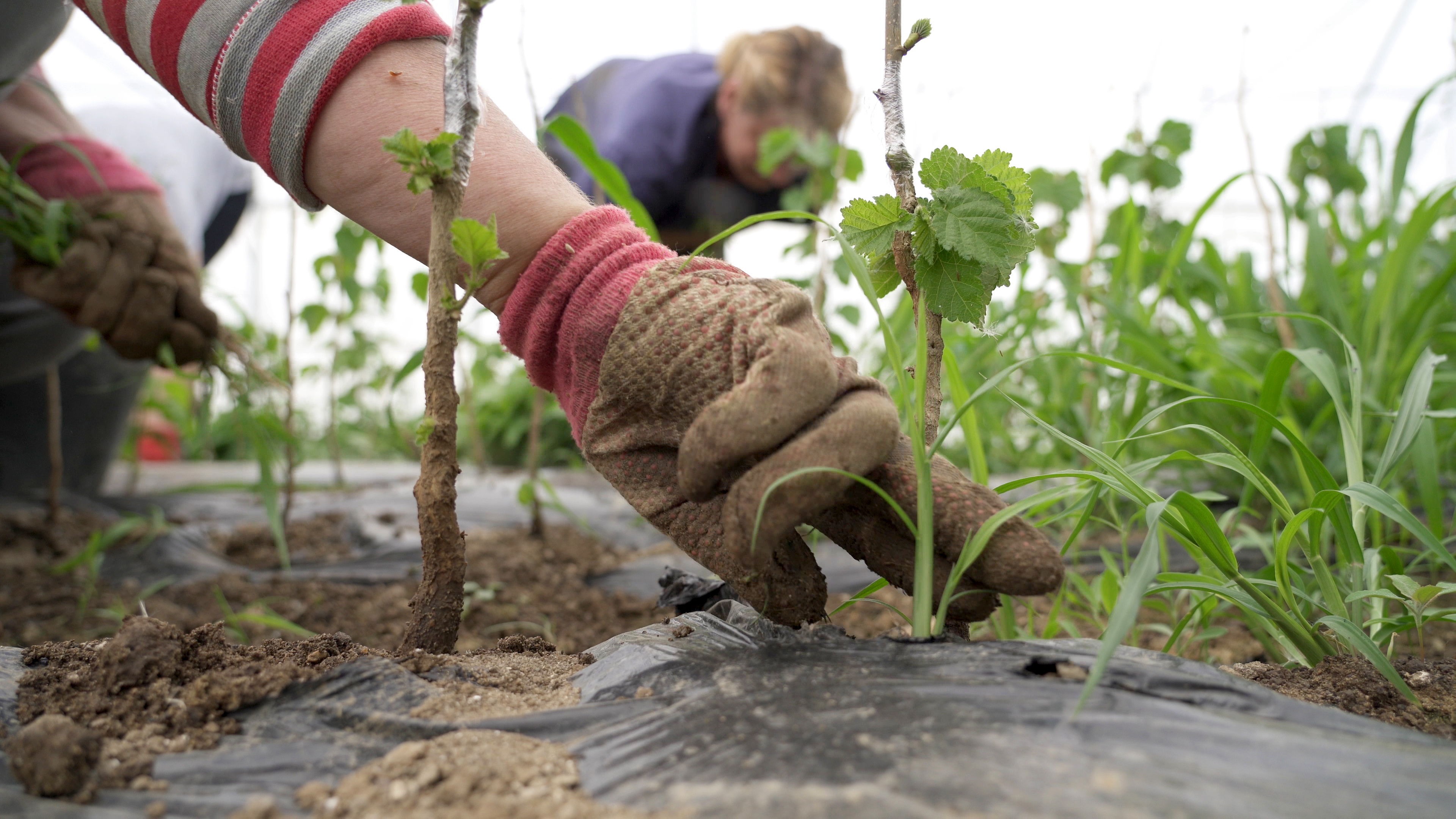 Tackling Undeclared Work in the Western Balkans (Photo: RCC ESAP 2/Klicker)