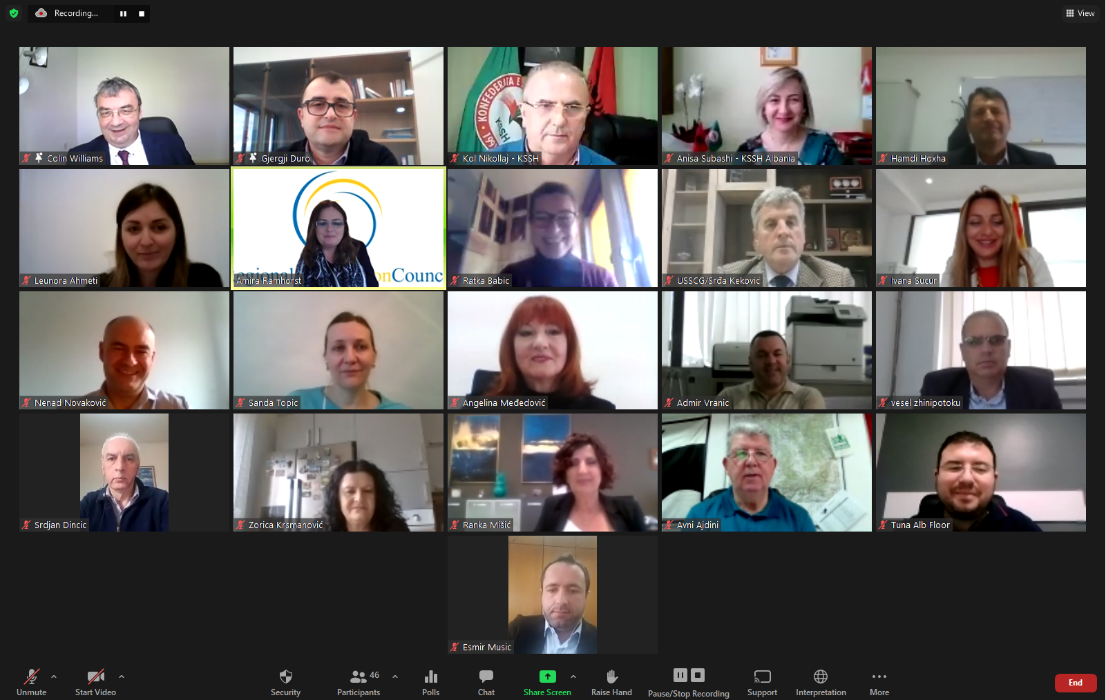 Webinar “Improving Social Partner Involvement in Tackling Undeclared Work” in the Western Balkans, 19 April 2021 (Photo: RCC/ESAP2)
