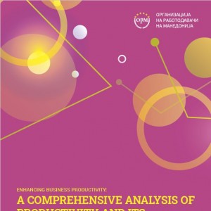 ILO ESAP 3: A Comprehensive Analysis of Productivity and Its Drivers in Firms in North Macedonia