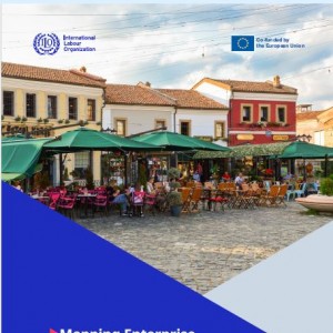 Mapping Enterprise Formalization Measures in Tourism in the European Union
