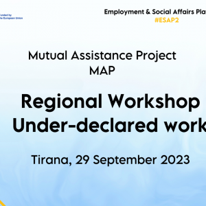 Regional Workshop on Under-declared work