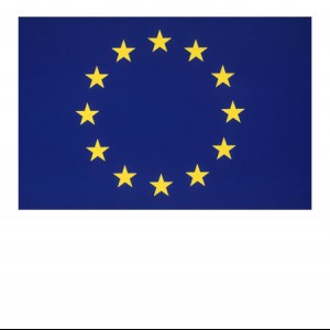 Up-dated country reports on social enterprises and their eco-systems for Serbia, Montenegro and FYR of Macedonia - as well as for Austria, Germany, Latvia and Lithuania