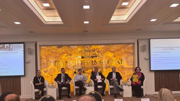 ©ILO: Lejo Sibbel talking about he importance of inclusive social dialogue