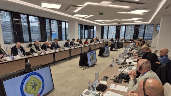 ELA workshop on tackling undeclared work and bogus-self employment in private security sector, Bratislava, Slovakia, 10-11 February 2026 (Photo: RCC ESAP 3)