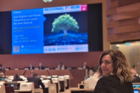 UNECE SDG 8 Round table.jpg