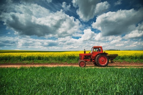 1 May 2020: Not the Labour Day as We Know it (Photo: Shutterstock)